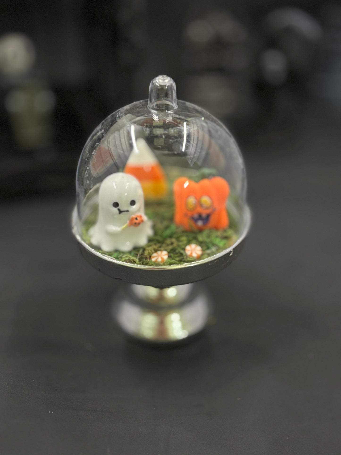 Fun Sized Terrorariums
