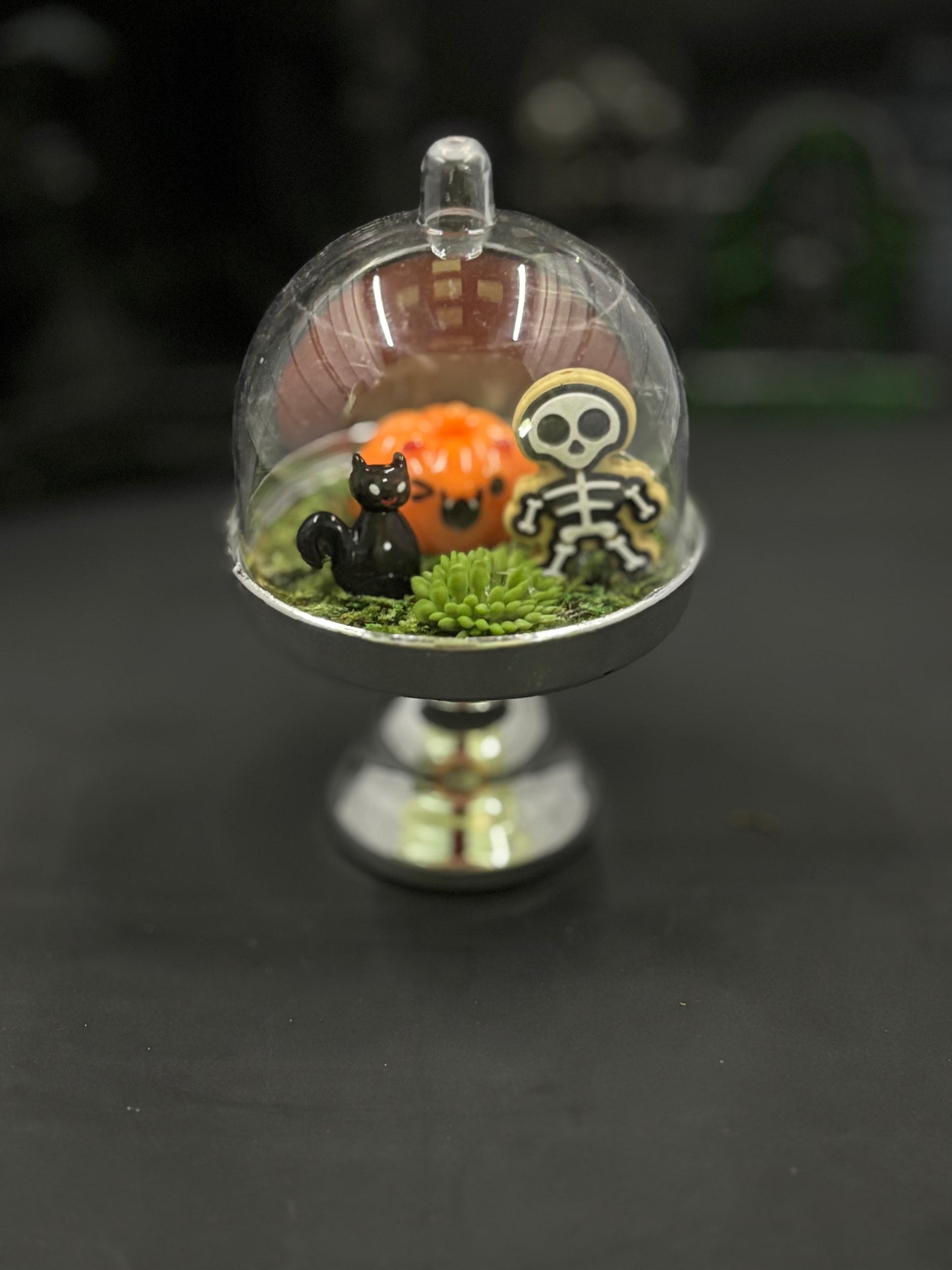 Fun Sized Terrorariums
