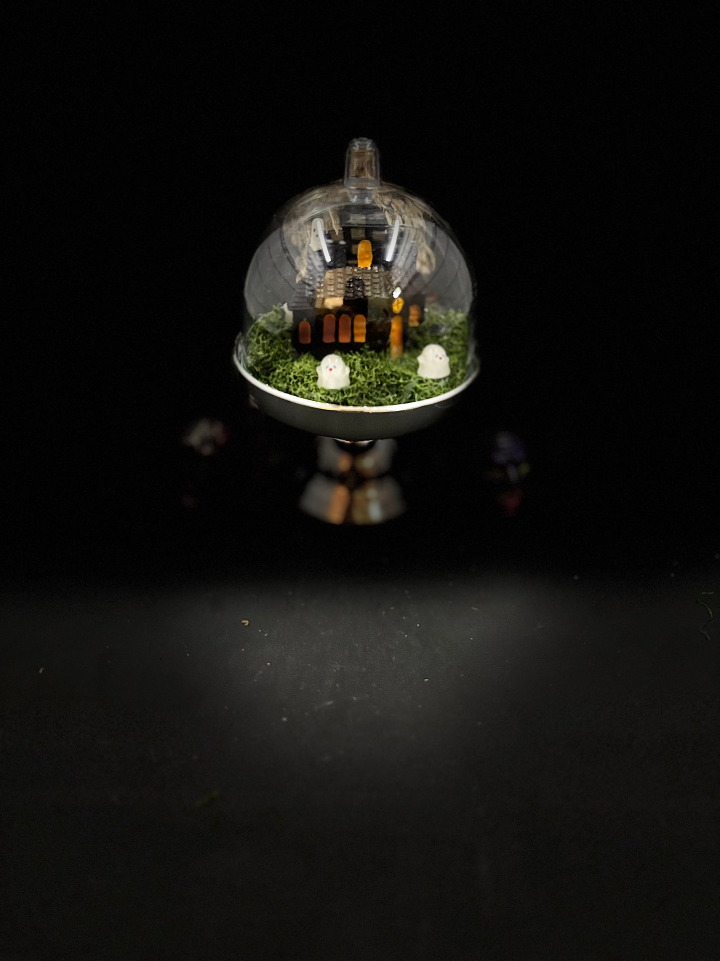 Fun Sized Terrorariums