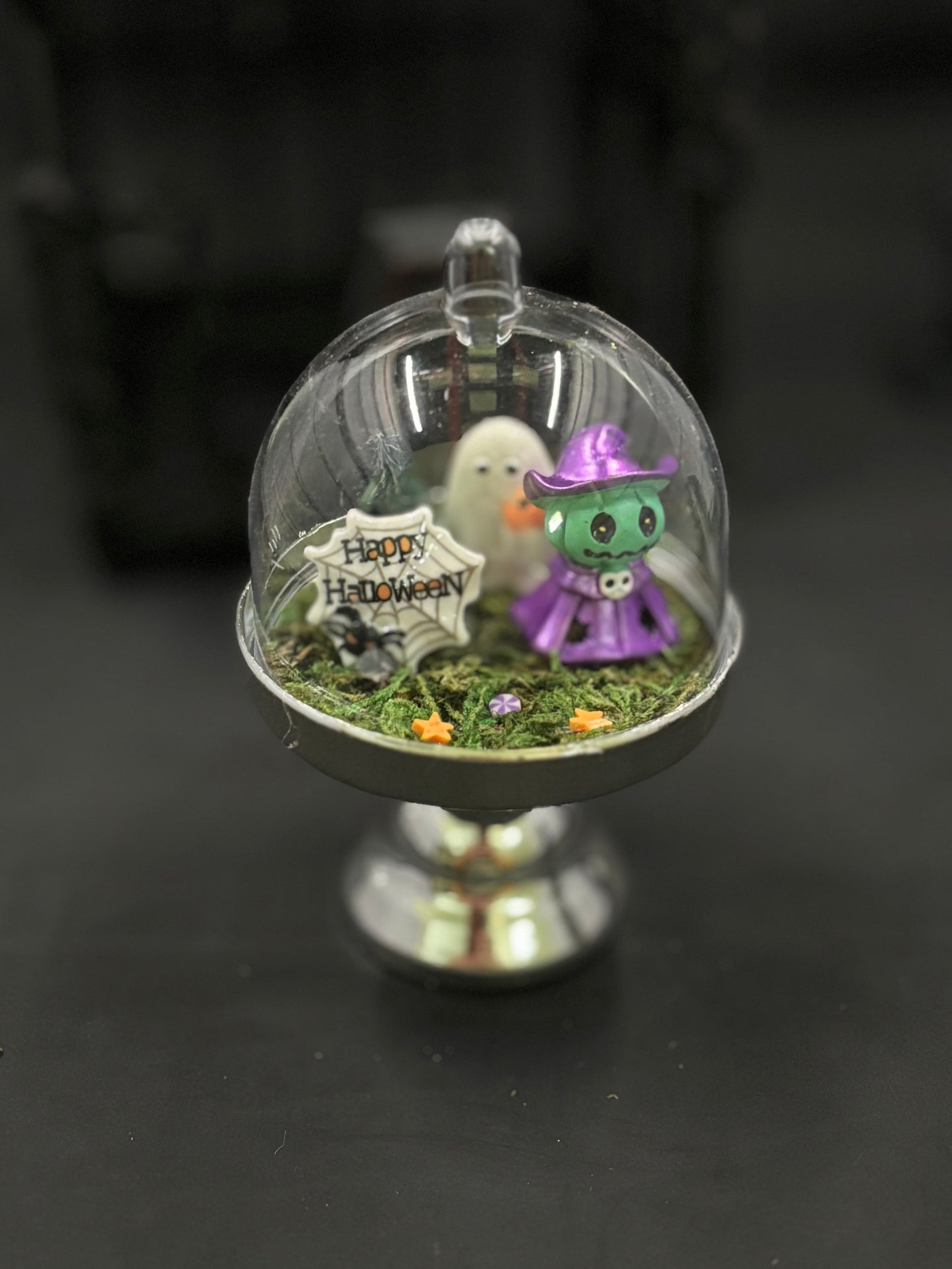 Fun Sized Terrorariums
