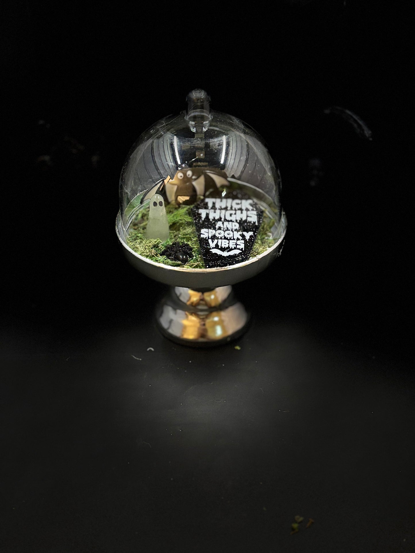 Fun Sized Terrorariums