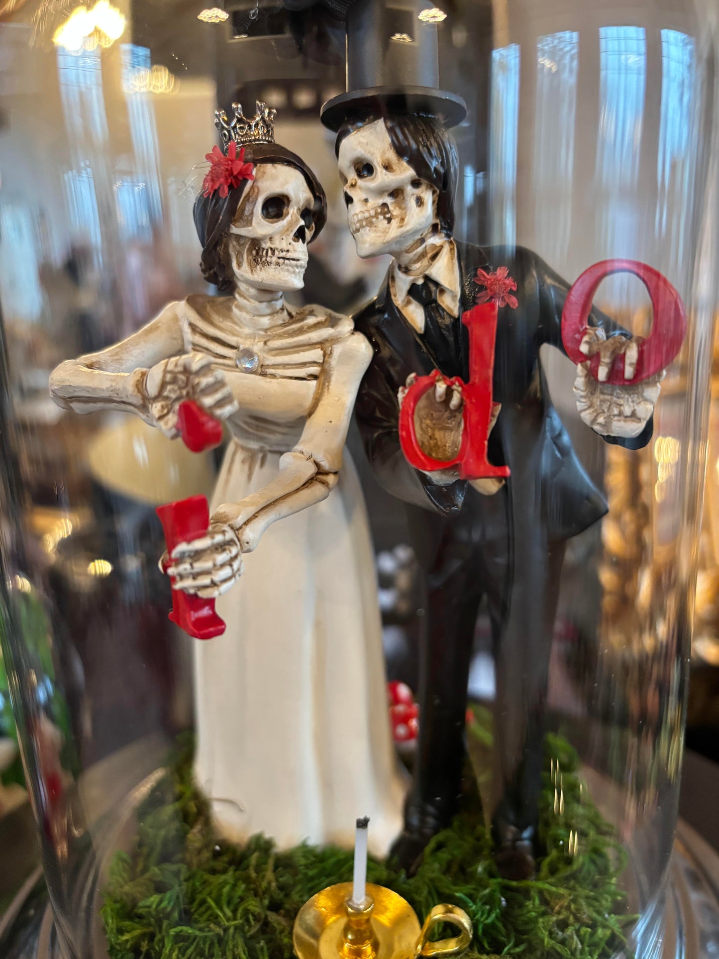 "I Do" Skeleton Terrorarium
