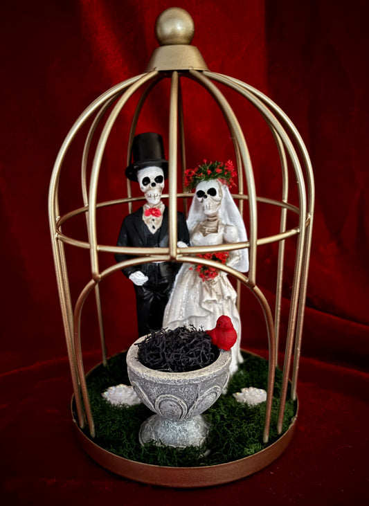 Cardinal Vows - Skeleton Terrorarium