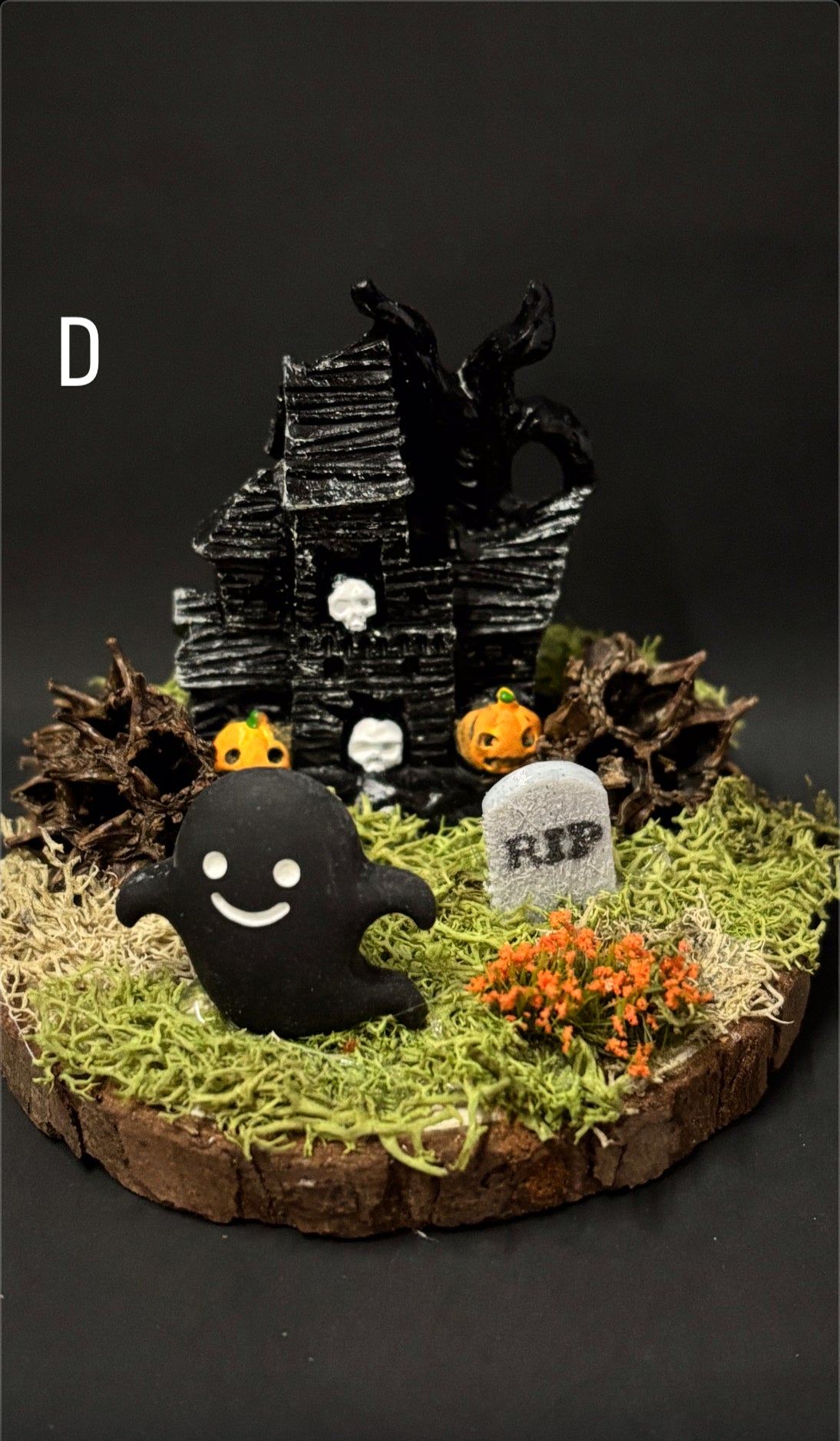 Spooky Haunted House