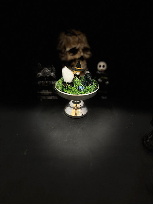 Fun Sized Terrorariums