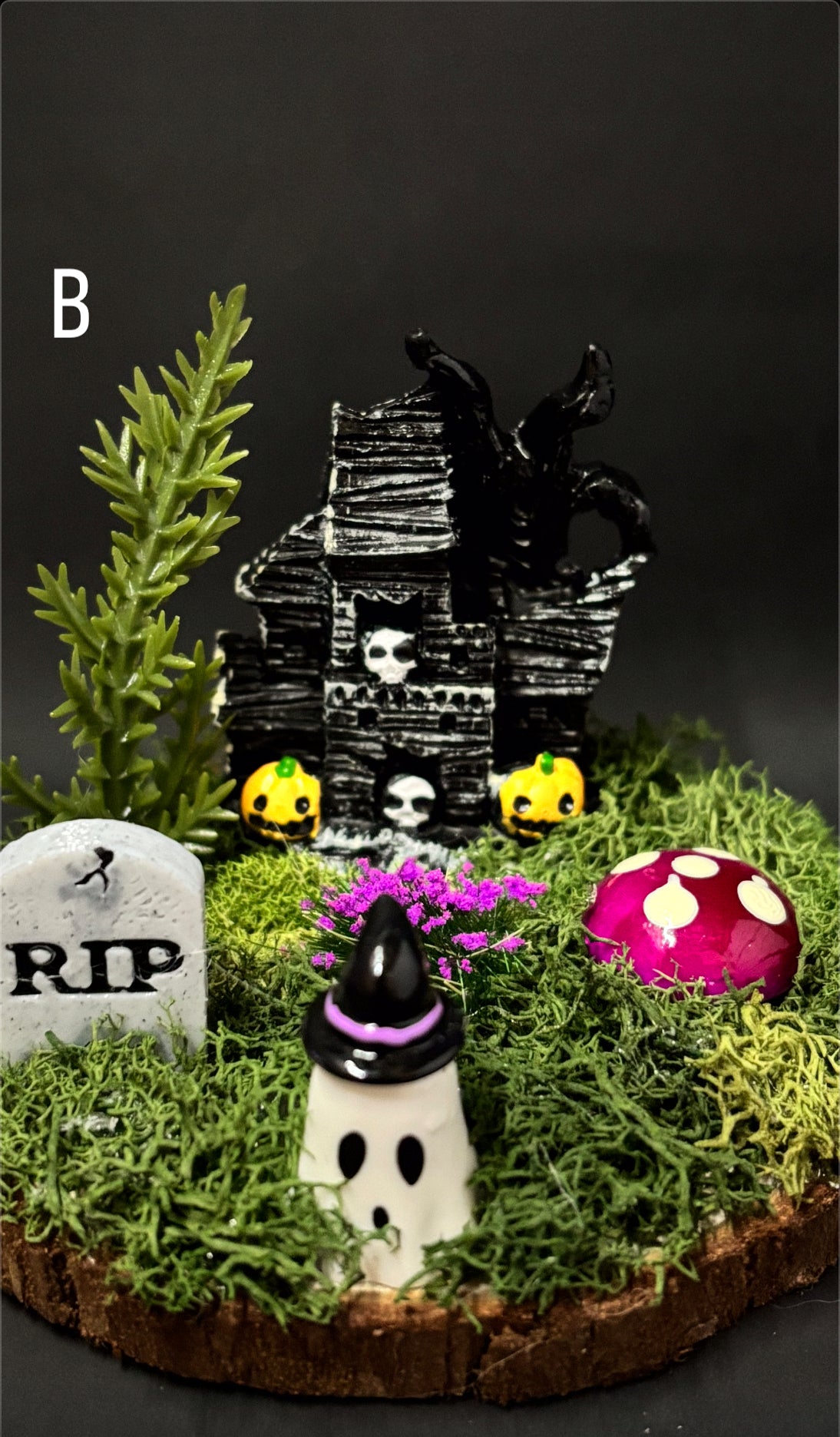 Spooky Haunted House