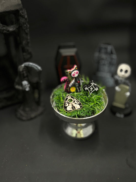 Fun Sized Terrorariums