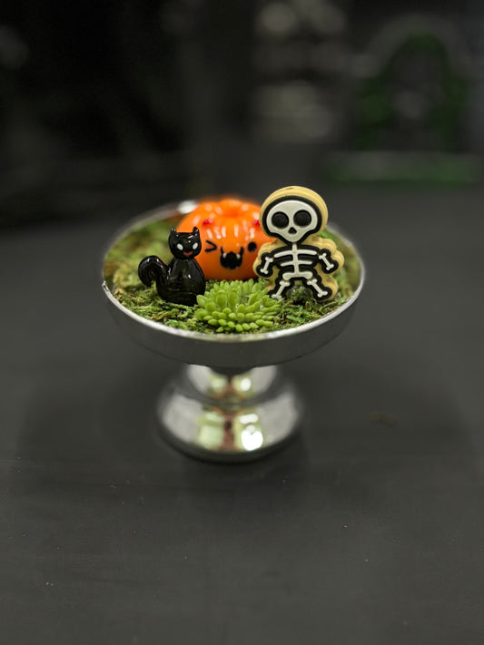 Fun Sized Terrorariums
