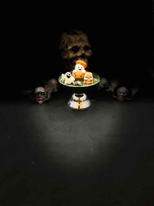 Fun Sized Terrorariums