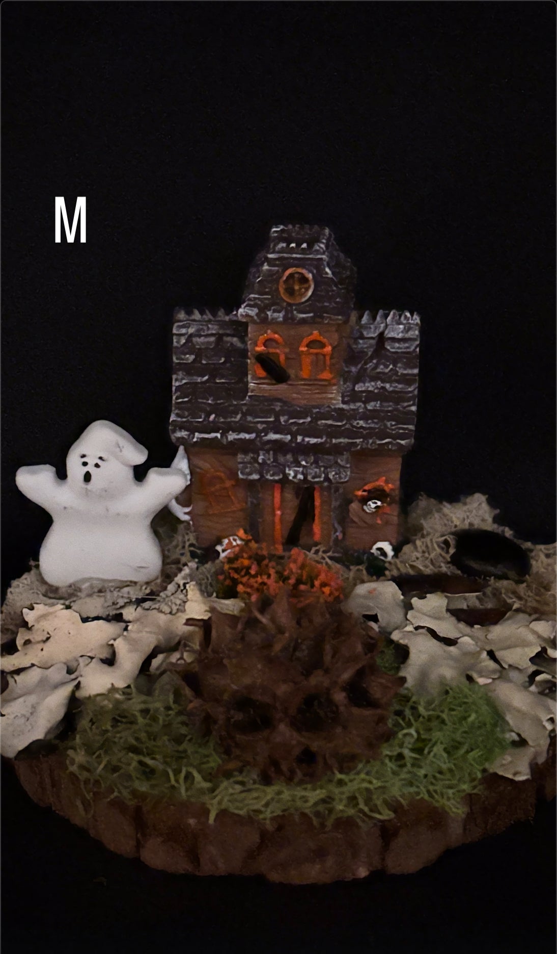 Spooky Haunted House