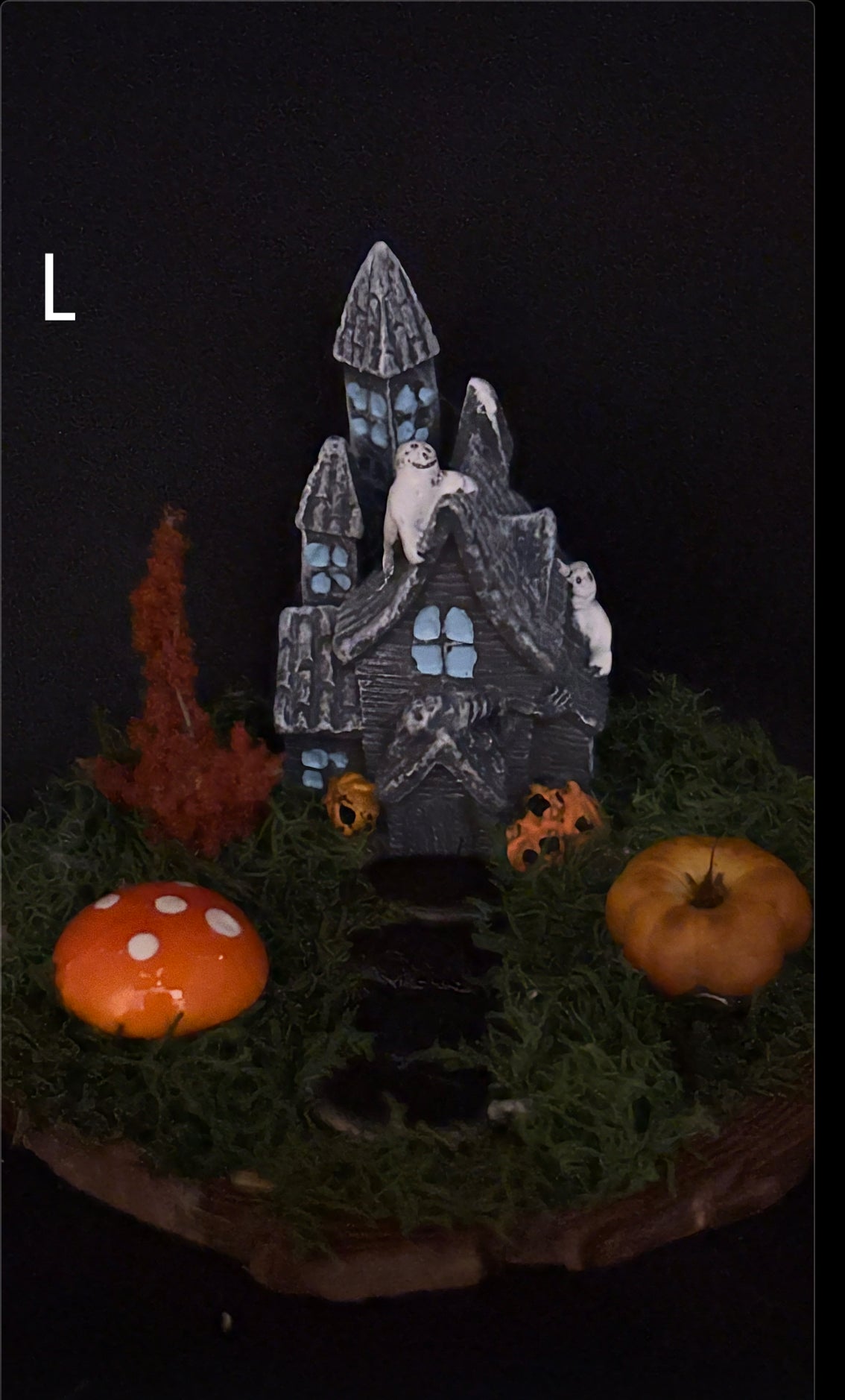 Spooky Haunted House