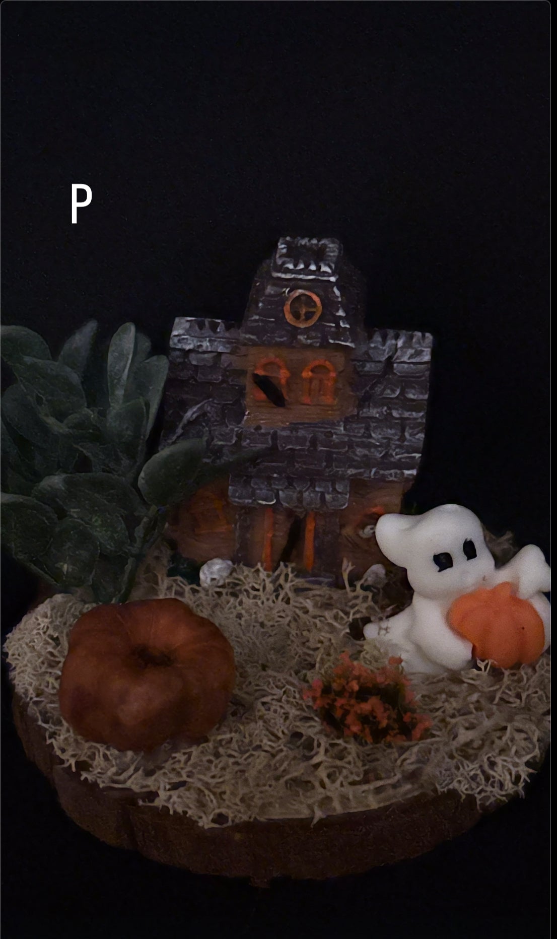 Spooky Haunted House