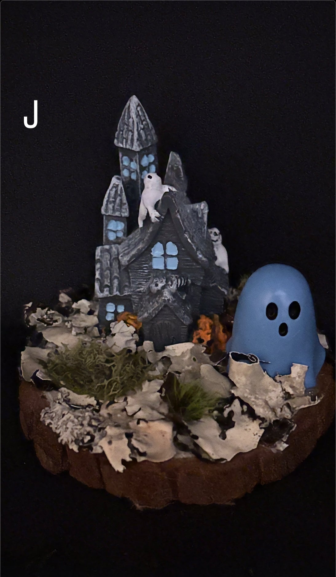 Spooky Haunted House